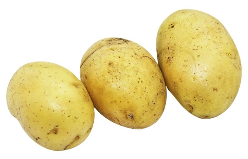 Картофель «Королева Анна»